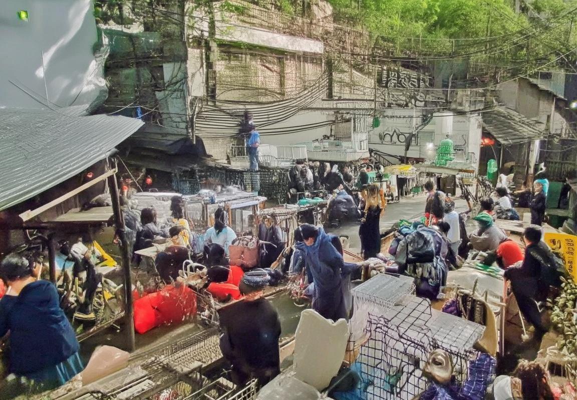 格瓦迪奥尔：克罗地亚天才后卫的成长之路与未来展望