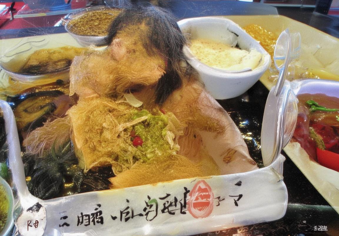 郭艾伦CBA对决惊艳表现：进攻技巧、组织能力与团队领导力解析